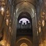 l'orgue de Notre Dame de Paris